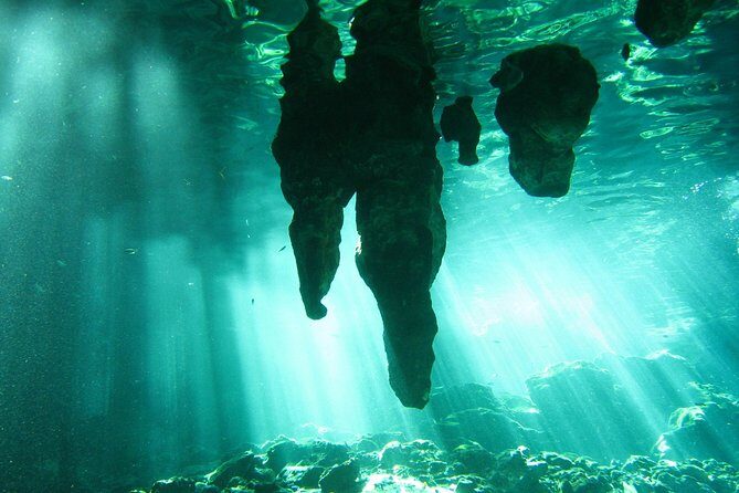 Tulum Ruins & Cenote guided private tour from Tulum and Riviera Maya. - Cenote snorkeling: what underground really feels like