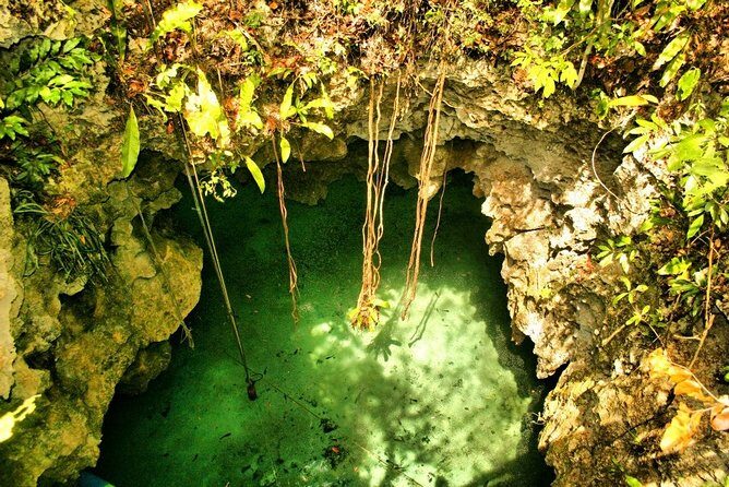 Tulum Ruins & Cenote guided private tour from Tulum and Riviera Maya. - Guide power: why Carlos and Syed matter here