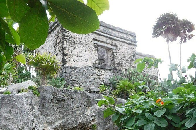 Tulum Ruins Tour (Private, Half Day) - What to pack and how to make the most of those two hours