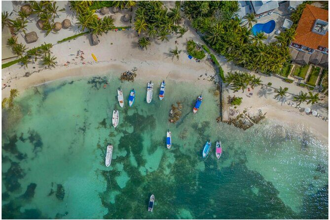 Tulum Ruins, Turtles in Akumal and Cenote tour - Key things to know before you go