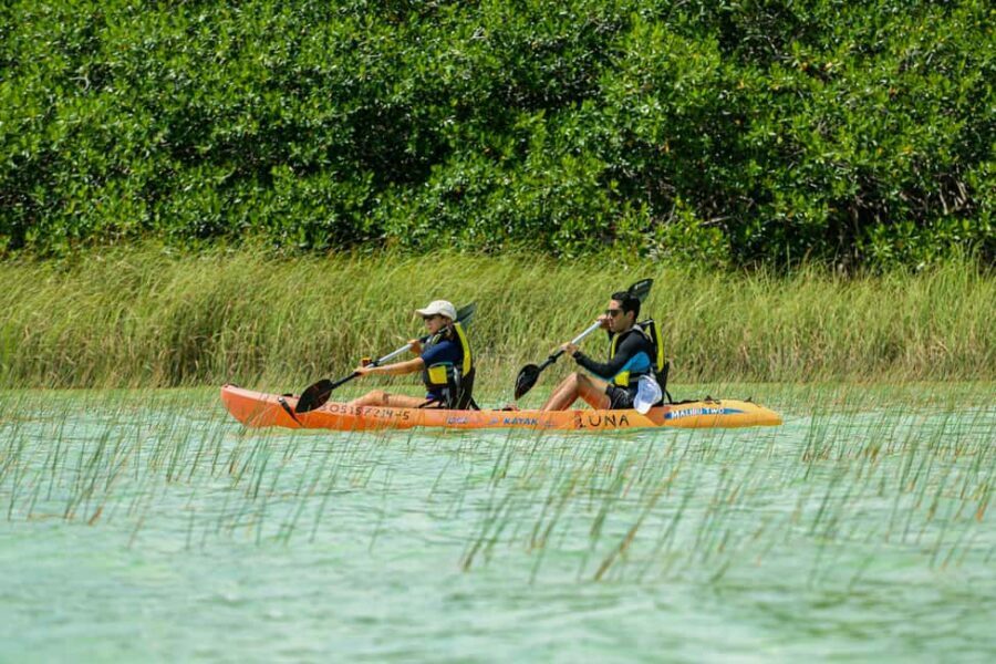 Tulum: Sian Ka'an Biosphere Reserve Kayak Tour - The Canal Connection: Mayan Engineering You Can Feel
