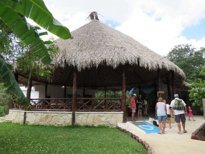 Tulum: Sian Ka'an Biosphere Reserve Kayak Tour - Wildlife Expectations: Birds Are the Sure Bet