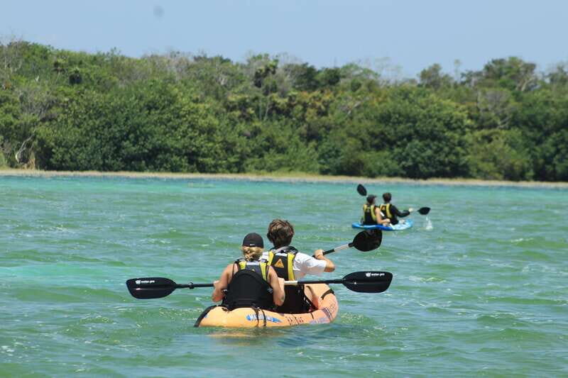 Tulum: Sian Ka'an Biosphere Reserve Kayak Tour - Price and What You’re Really Paying For