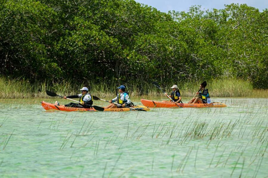 Tulum: Sian Ka'an Biosphere Reserve Kayak Tour - The Mayan Palapa Start: Breakfast That Sets the Tone