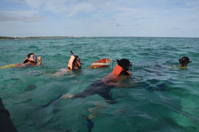 Tulum: Snorkeling and Private Sailing Tour - Who This Private Tour Is Best For (And Who Might Want Another Option)