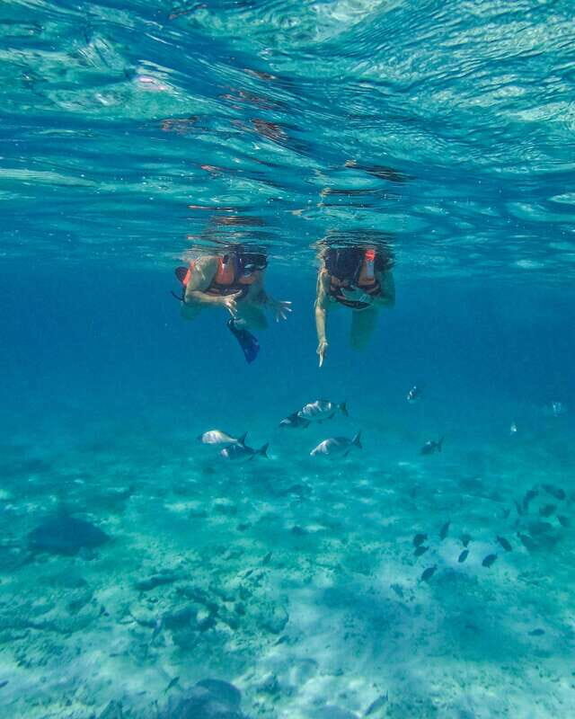 Tulum: Snorkeling at Paradise Reef - Price and value: what $35 really buys you in Tulum