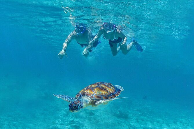 Tulum, Snorkeling with Sea Turtles, Cenote and Beachside Lunch - A one-day hit list: Tulum, cenote, and sea turtles without the planning stress