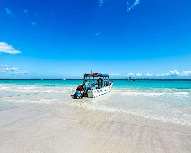 Tulum: Sport Fishing Experience with Ceviche - Timing, Groups, and What the Day Really Feels Like