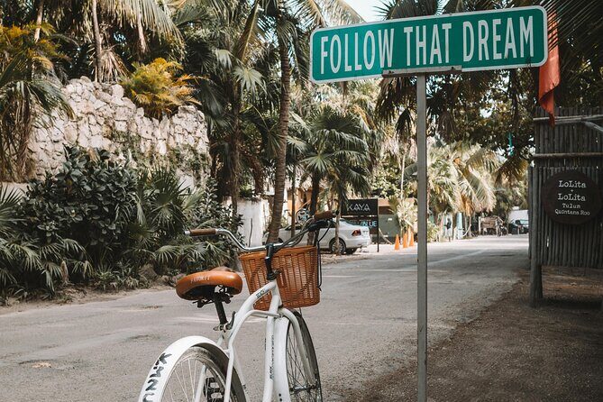 Tulum Transportation Service 24/7 The Most Reliable and safe. - Comfort Details That Actually Matter in Tulum Heat