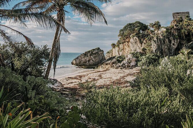 Tulum Transportation Service 24/7 The Most Reliable and safe. - Weather, Non-Refund Rules, and Booking Smart