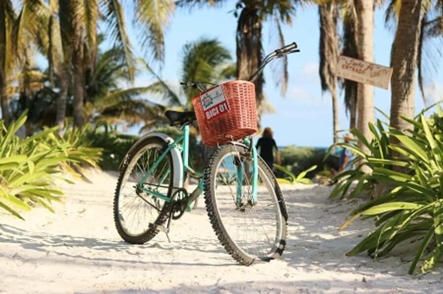 Tulum: Tulum National Park Guided Bike Tour - Mangrove Viewpoint and Lighthouse Viewpoint: your best “pause for the view” stops