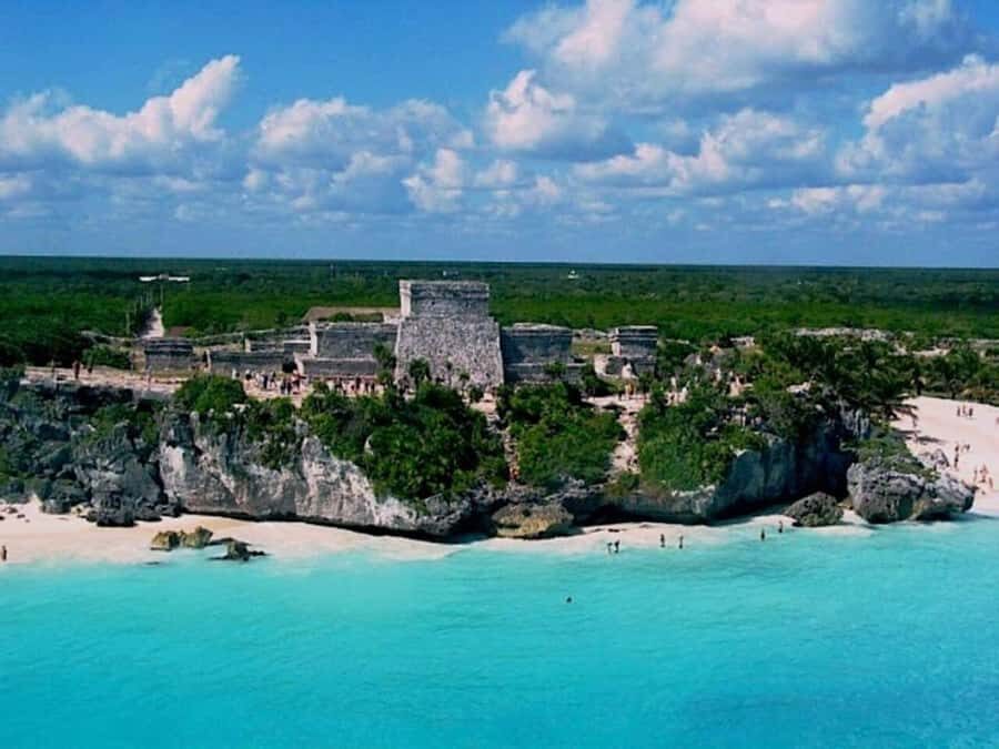 Tulum: Tulum National Park Guided Bike Tour - The marine fauna observation area: the wildlife moment