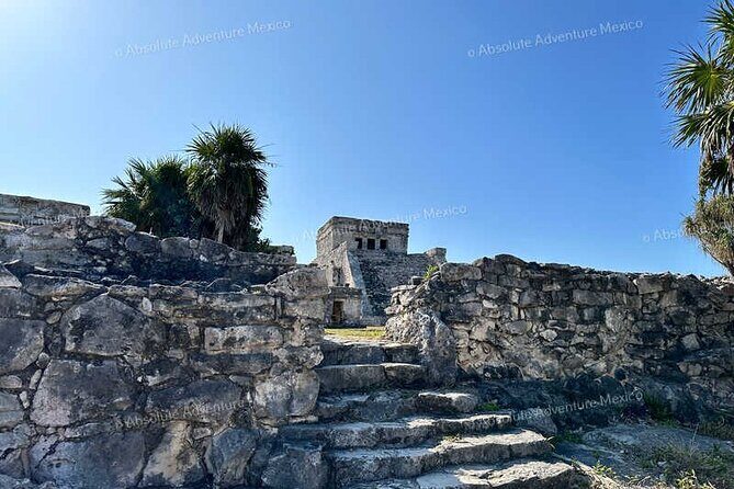 Tulum VIP Private Tour with Sea Turtles & Cenote – Award-Winning - Price and value: what you’re paying for at $266 per person