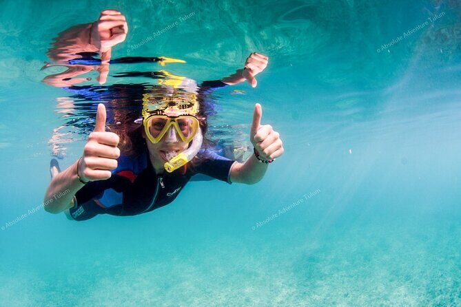 Tulum VIP Private Tour with Sea Turtles & Cenote – Award-Winning - Should you book this VIP Tulum tour?