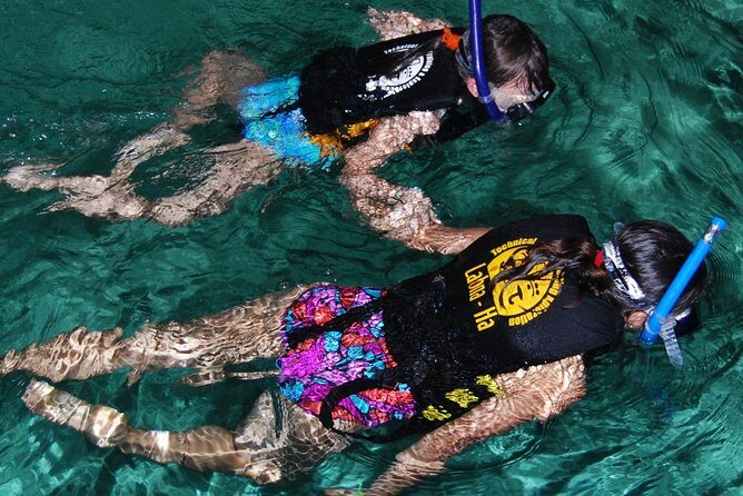 Turtle Snorkeling Adventure from Cancun - Key things to know before you go