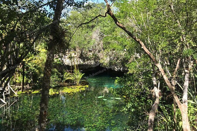 Turtle Snorkeling Private Tour – Sea Turtles & Cenote in Tulum - Gear, water, and timing: how to stay comfortable for 4 to 5 hours