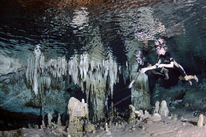 Turtle Snorkeling Private Tour – Sea Turtles & Cenote in Tulum - Who should book this turtle snorkeling and cenote private tour
