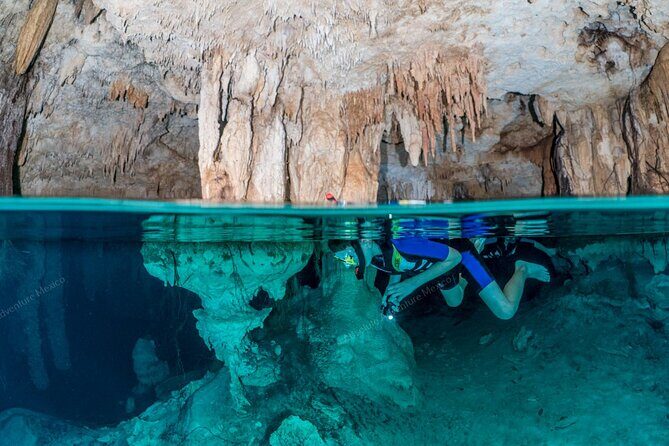 Turtle Snorkeling Private Tour – Sea Turtles & Cenote in Tulum - Should you book it: my straight take
