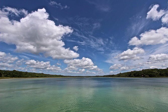 Wild Monkey Adventure (Private, Full Day) - The natural cenote: cool water with a real climb