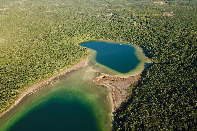 Zip lining and Canoe Monkey jungle in Tulum - Stop at Punta Laguna Nature Reserve: spider monkeys first, questions answered as you go